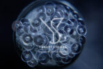 RCJ 41 - Image 3