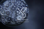 RCJ 41 - Image 4