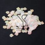 DW-RCX-41-22 - Image 2